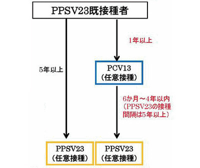 プレベナー13（PCV13）